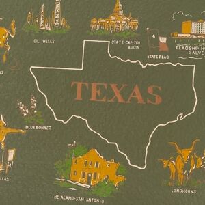 Vintage TEXAS Map Resin Coated Oval Wooden Green  Decor Serving Tray